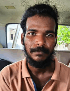 കളമശ്ശേരിയിൽ  കഞ്ചാവ്  വേട്ട