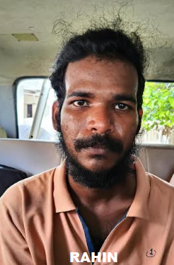 കളമശ്ശേരിയിൽ  കഞ്ചാവ്  വേട്ട