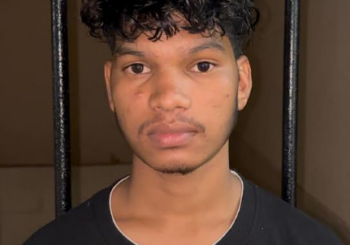 കഞ്ചാവുമായി  ഒഡീഷ   സ്വദേശി  പിടിയിൽ