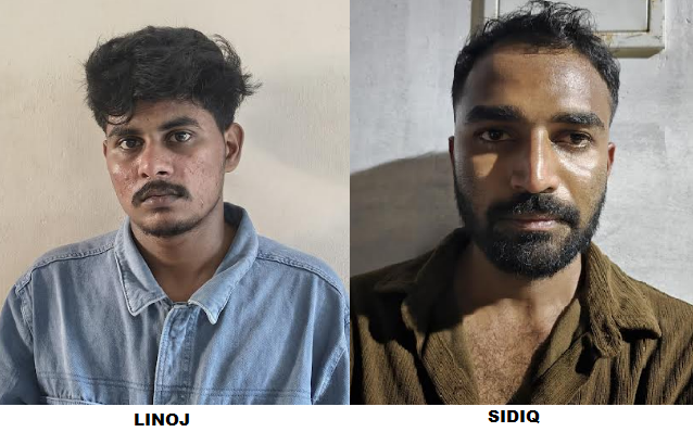 കൊച്ചി  സിറ്റിയിൽ  രാസലഹരി  വേട്ട