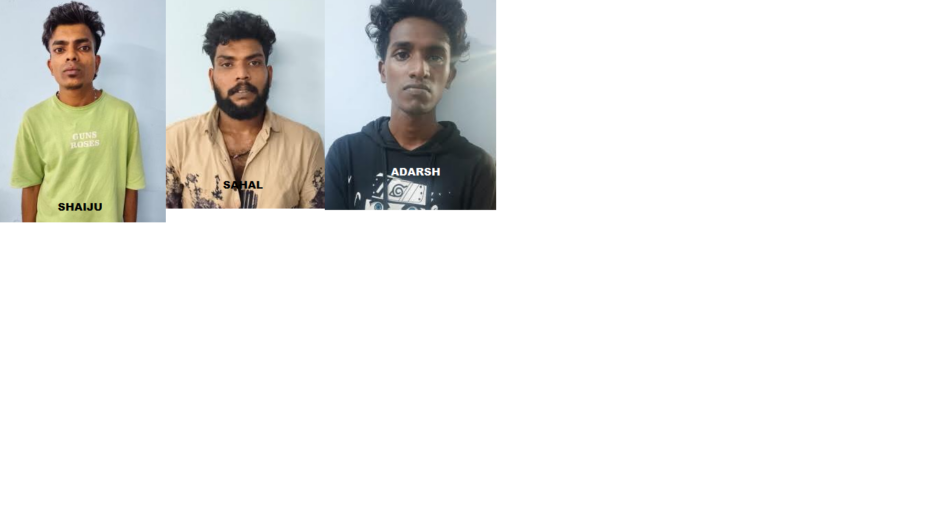 ഒഡീഷ സ്വദേശിയെ അക്രമിച്ച് മൊബൈൽ ഫോണും പണവും കവർന്ന പ്രതികൾ പിടിയിൽ